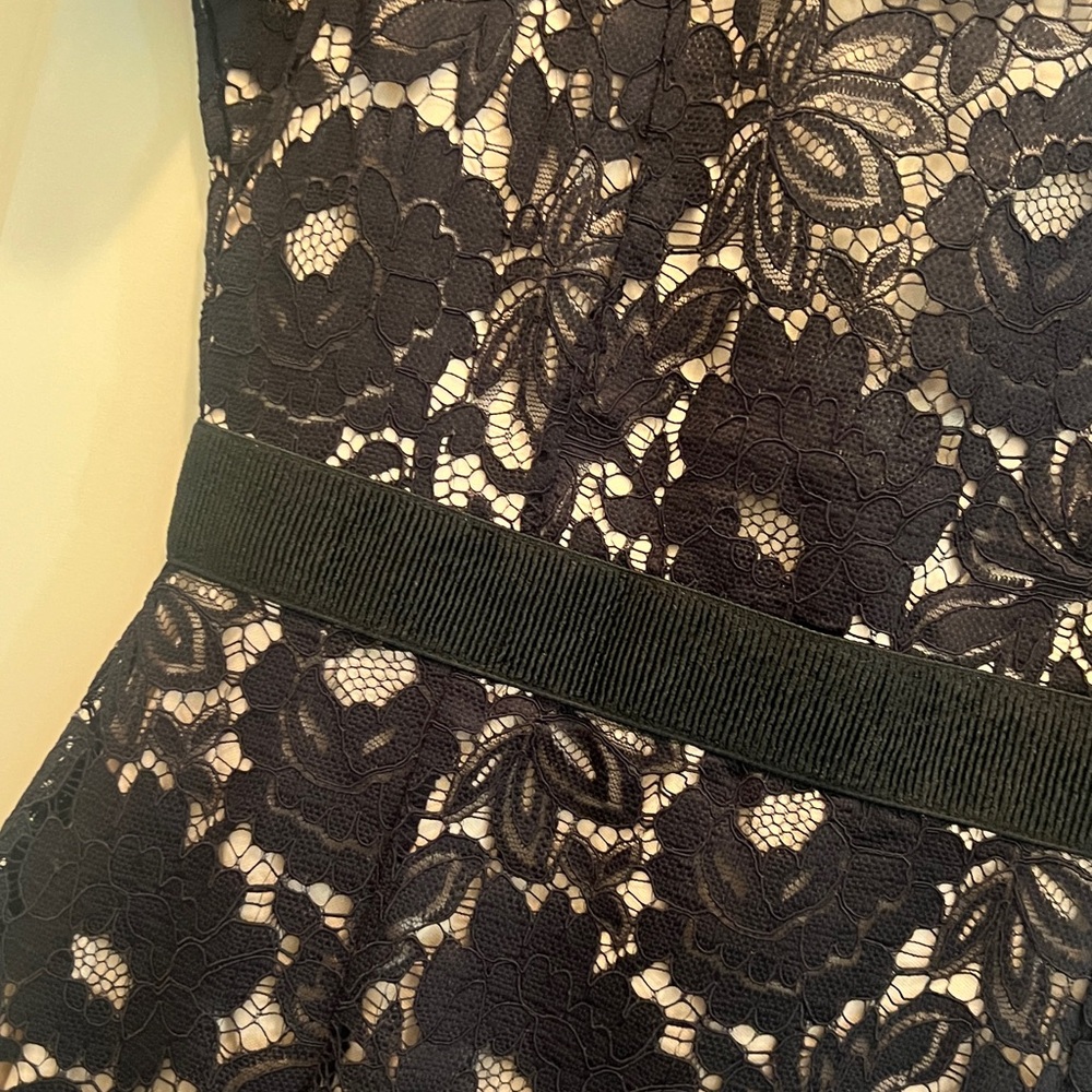 Alexia Admor Black and Cream Lace Midi Dress - Picture 4 of 5